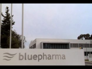 Recrutamento Bluepharma (M/F)