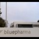 Recrutamento Bluepharma (M/F)